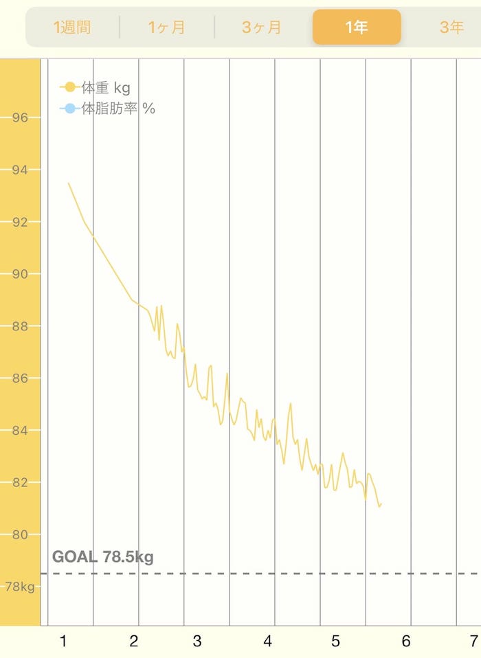 実績グラフ